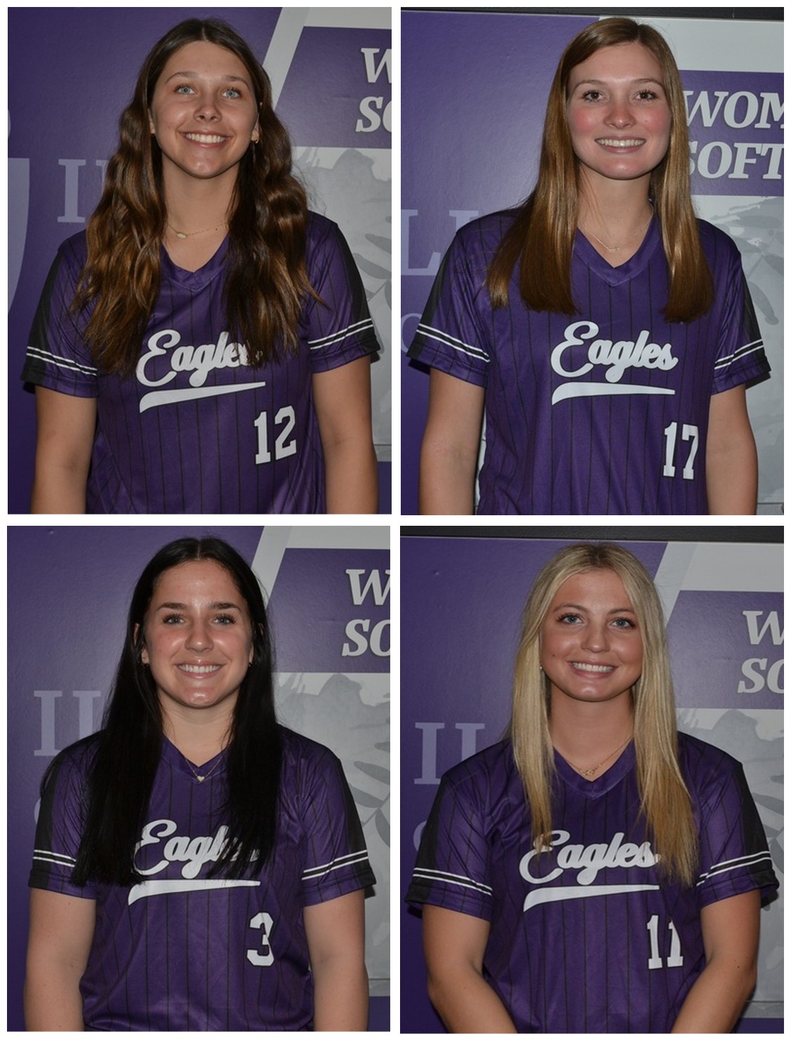 IVCC SOFTBALL PLAYERS EARN HONORS